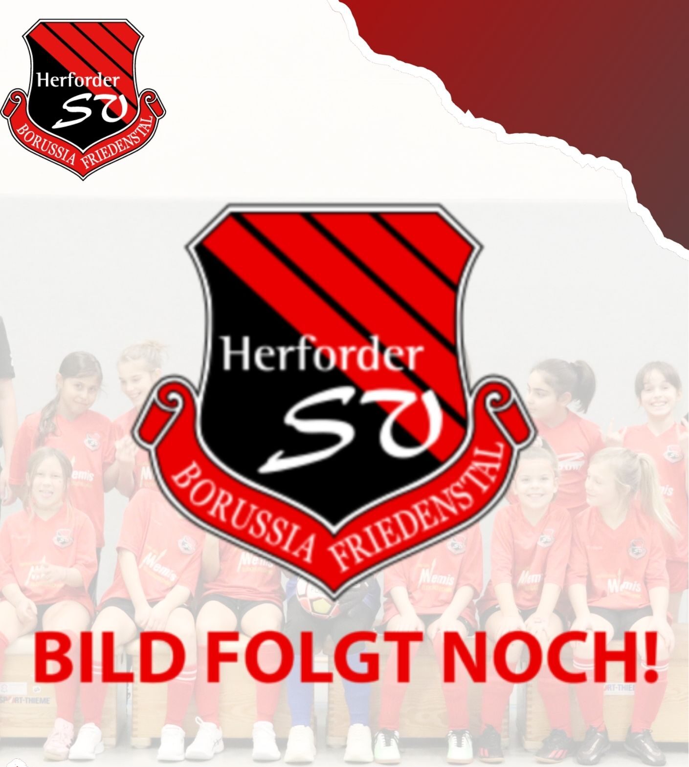 Flyer für Vereinsfest in modernem Stil in Grün Orange Flieder (A3) (148 x 210 mm)